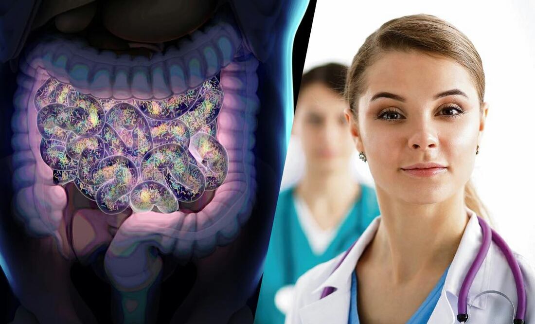 Lactobacillus Casei Shirota y Microbiota intestinal Aliados para fortalecer nuestro sistema inmunológico