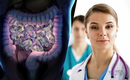 Lactobacillus Casei Shirota y Microbiota intestinal Aliados para fortalecer nuestro sistema inmunológico