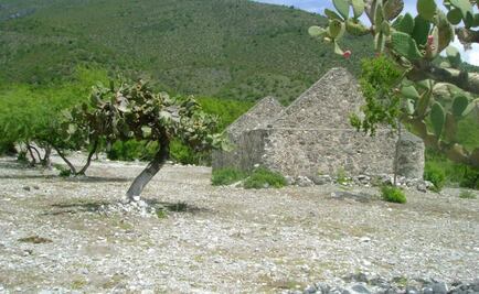 Man's remains found inside dead cow in Sonora