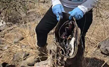 Colectivo de buscadoras en Sonora encuentran prendas con restos óseos; había casquillos de balas junto a los cuerpos