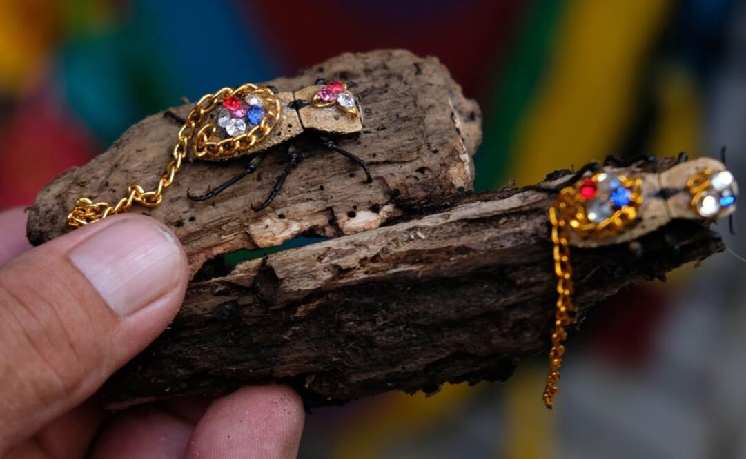 Foto: EFE/ Cuauhtémoc Moreno