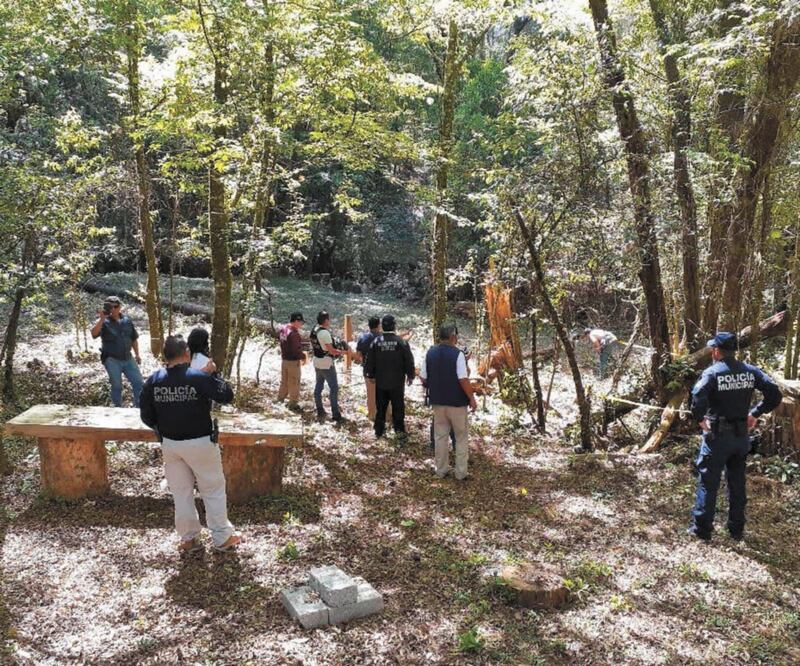 Entre el personal que realiza la búsqueda del animal que atacó a un hombre, hay especialistas en el manejo y rastreo de felinos. Autoridades recomiendan suspender el uso de veredas para cualquier actividad deportiva o recreativa. ESPECIAL