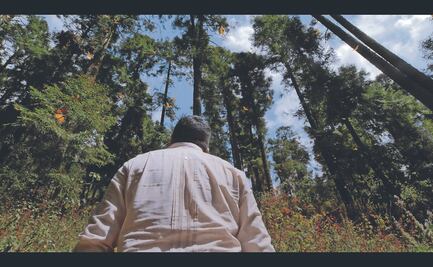 "El guardián de las monarcas”: El documental sobre el héroe de las mariposas, Homero Gómez, en Netflix
