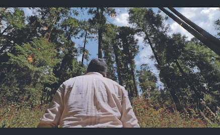"El guardián de las monarcas”: El documental sobre el héroe de las mariposas, Homero Gómez, en Netflix