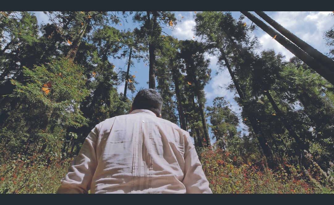 El docu sigue a Homero Gómez, protector del Santuario de la Mariposa Monarca. Foto: de Emiliano Ruprah de Fina