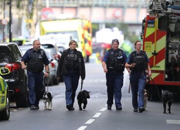 Home made bomb explodes on London train