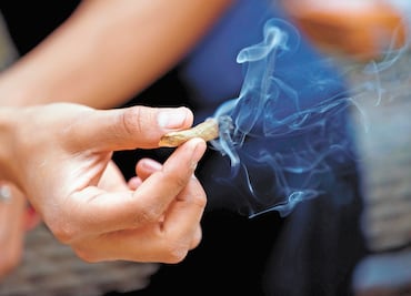 Plantas fumables para cultivar que son legales