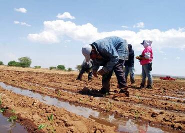 Alertan a hidalguenses por empresa estadounidense que ofrece trabajo legal con condiciones de explotación