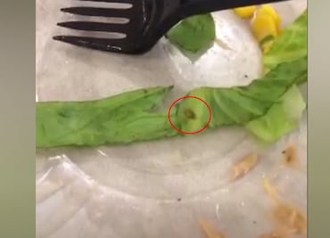 Denuncia cliente cucaracha en ensalada de Fresko