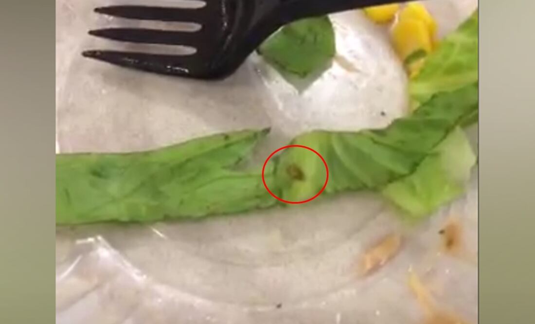 Foto: tomada de Periscope