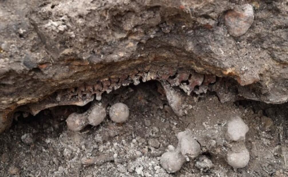 Descubren fosa común de presos judíos en Bielorrusia