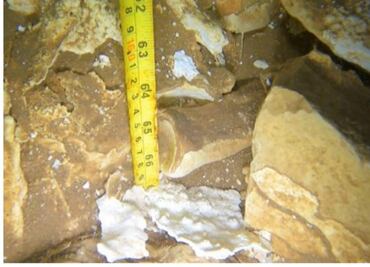 Descubren restos de perezoso gigante y caballos prehistóricos en cenote de Yucatán; permanecen desde la última glaciación