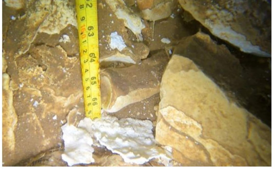 El hallazgo de restos de perezoso gigante y caballos prehistóricos resulta importante debido a que la familia a la que pertenecen son encontradas por primera vez en Yucatán (22/02/2025). Foto: Especial