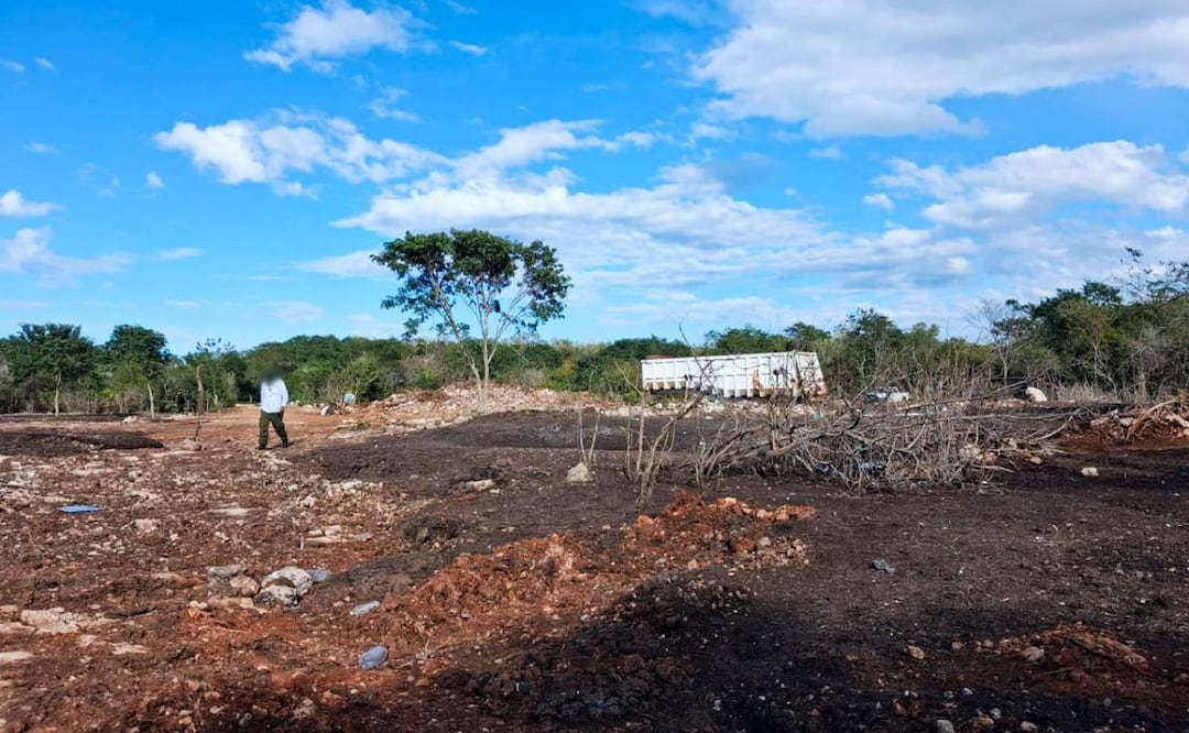 Profepa clausura predio en Kinchil, Yucatán, por cambio ilegal de uso de suelo forestal para almacenamiento de abono (06/01/2026). Foto: Especial