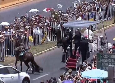 Video. Policía cae de su caballo y Francisco baja del Papamóvil para ayudarla