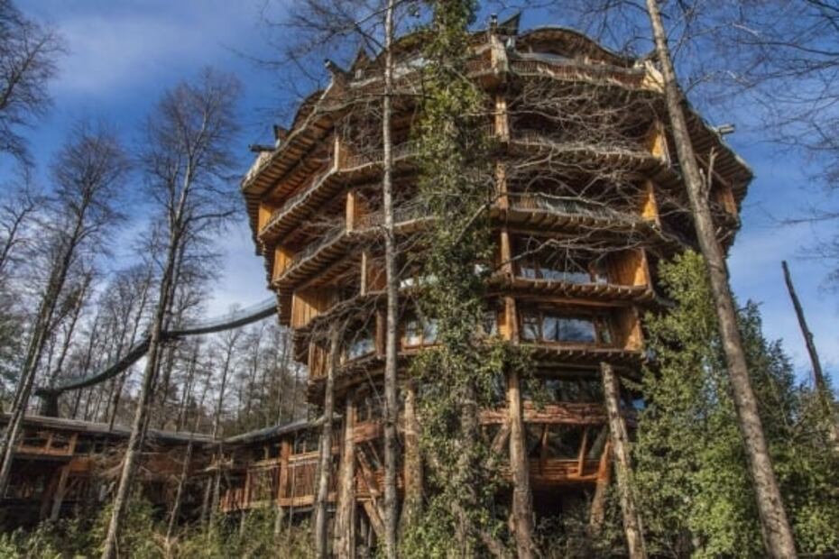 Huilo Huilo, reserva natural con hoteles que imitan la forma de los árboles