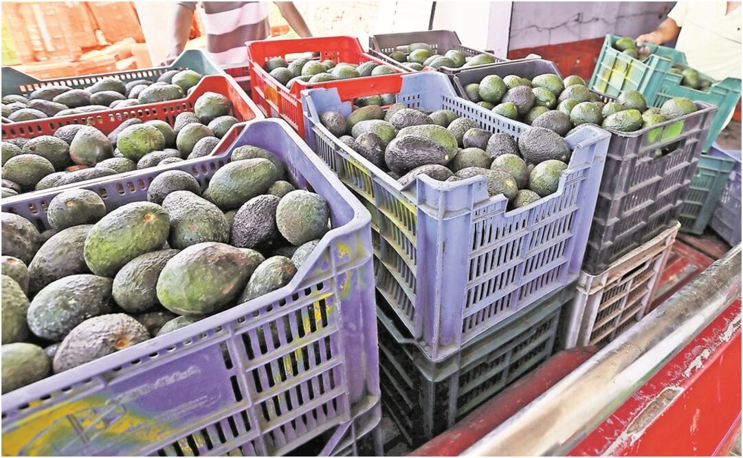 Foto: Archivo/ELUNIVERSAL