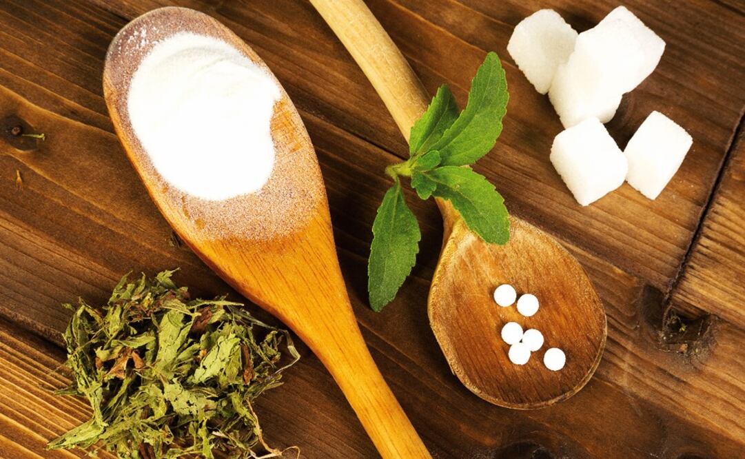 The stevia plant and its finished product - Photo: File Photo/EL UNIVERSAL