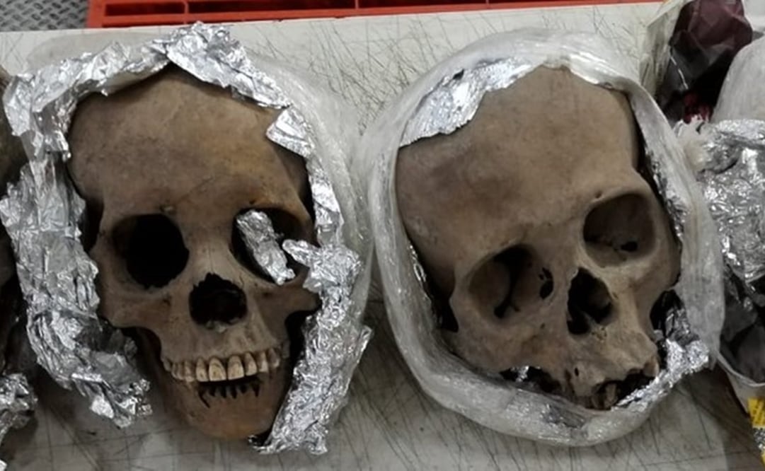 Foto: Cortesía Guardia Nacional 