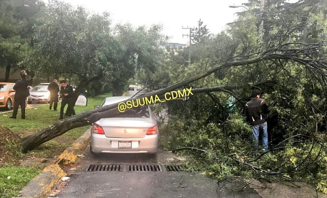 (Foto: Twitter @SUUMA_CDMX)