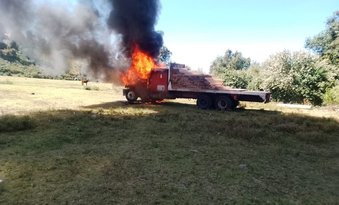 De acuerdo con reportes de autoridades, en esta zona también se han generado guardias civiles que defienden el bosque de talamontes. Foto: Especial
