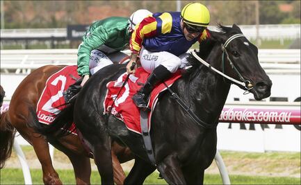 Jinete cae de su caballo y muere en plena carrera en Australia