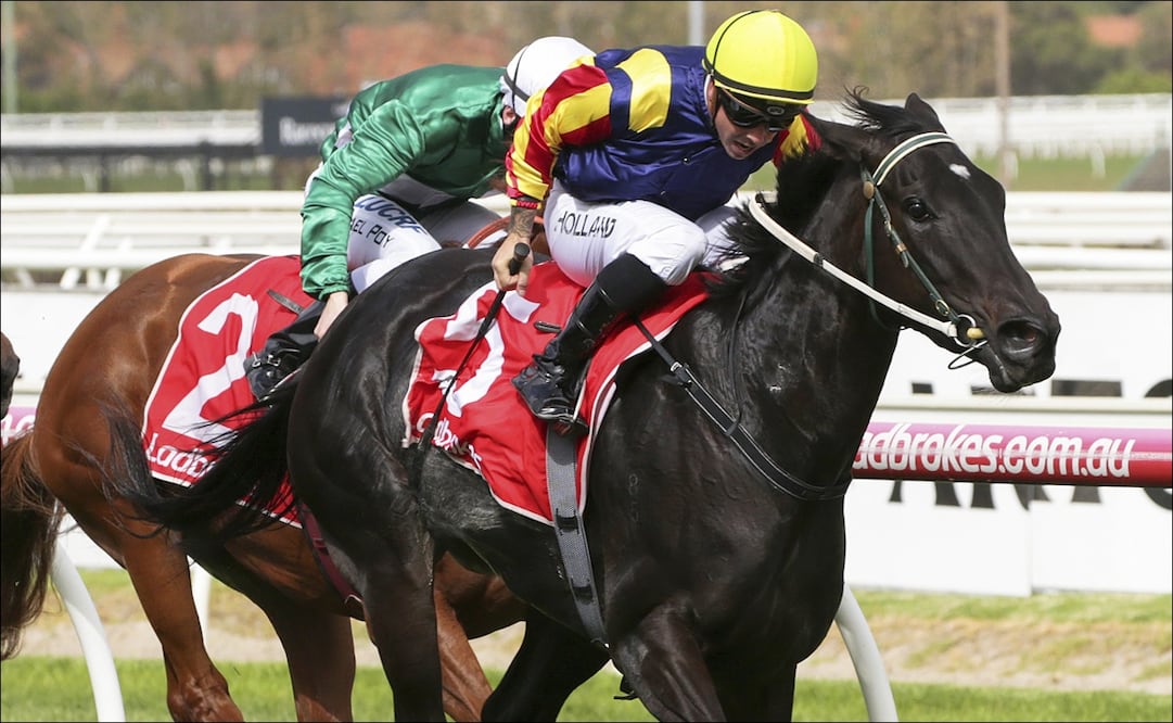 Dean Holland - Foto: AP