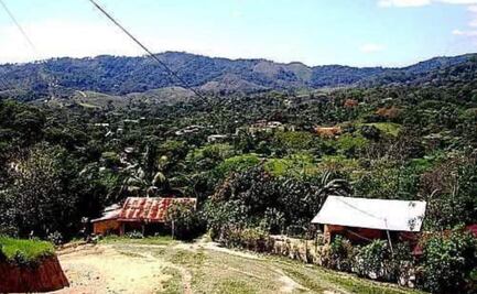 Confirman 3 muertos en emboscada registrada en Santo Domingo Petapa, Oaxaca; delegado de organización indígena, entre las víctimas