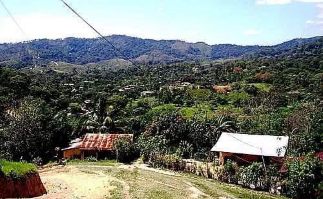 El ataque que dejó 3 muertos ocurrió en la localidad de Río del Sol, población del municipio de Santo Domingo Petapa, Oaxaca (13/02/2025). Foto: Especial