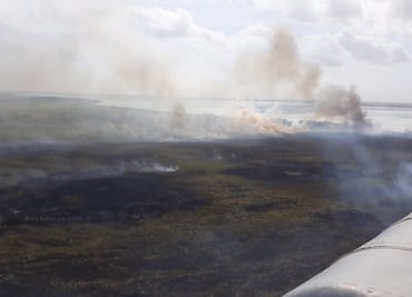 Incendios en Sian Ka'an afectan también a la fauna silvestre: Conanp