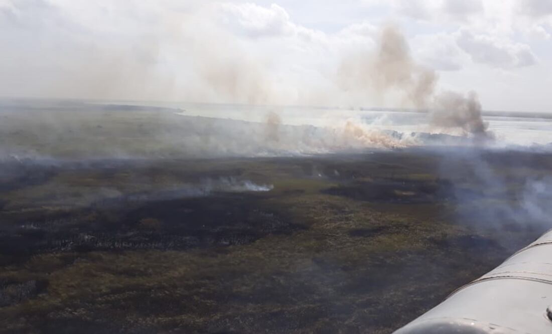 Fotos: tomada de Twitter @CONAFOR