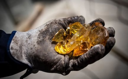 Así es el llamado "oro líquido", que se esconde en los bosques de España