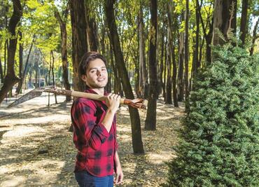 ¿Cuánto cuestan los árboles de Navidad naturales en 2022?