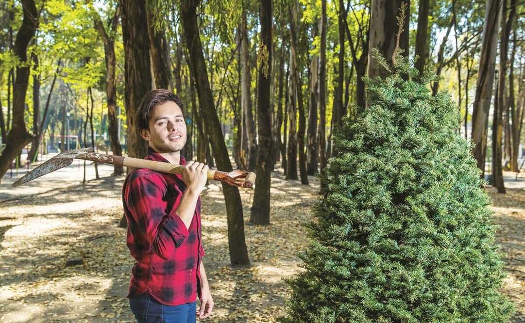 ¿Cuánto cuestan los árboles de Navidad naturales en 2022?