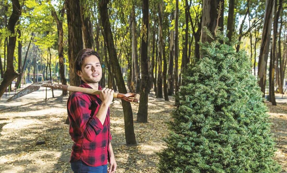 ¿Cuánto cuestan los árboles de Navidad naturales en 2022?