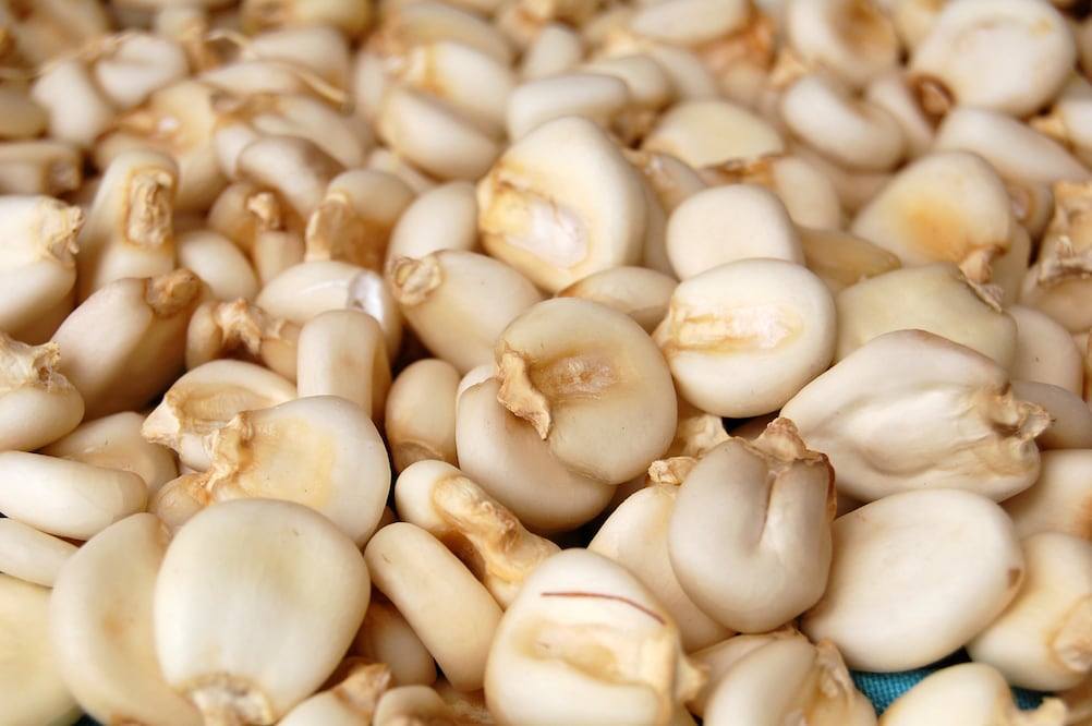 Foto: eefauscan / iStock