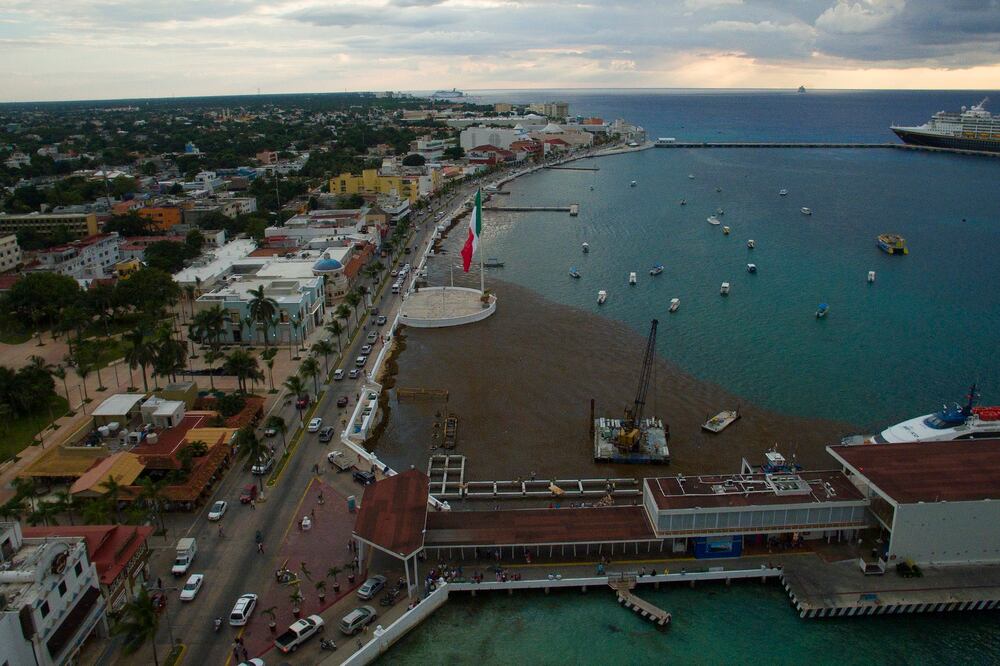 Cortesía Greenpeace