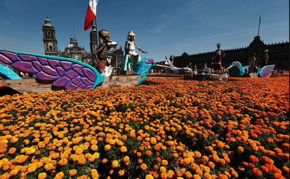 Productores de flor de cempasúchil venden su producto en el Zócalo de la Ciudad de México con precios que van de los 20 a 45 pesos, dependiendo del tamaño y la variedad de la flor, el 27 de octubre d e2025. Foto: Berenice Fregoso/EL UNIVERSAL