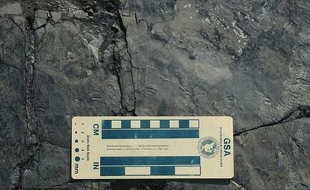 Descubren huellas de dinosaurio de sólo un centímetro