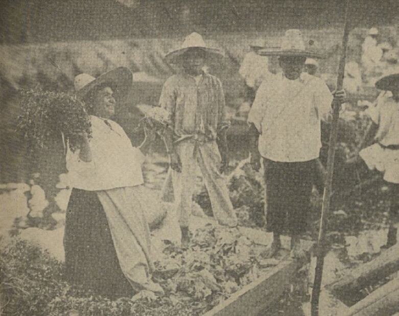 Santa Anita y sus tamales con memoria lacustre