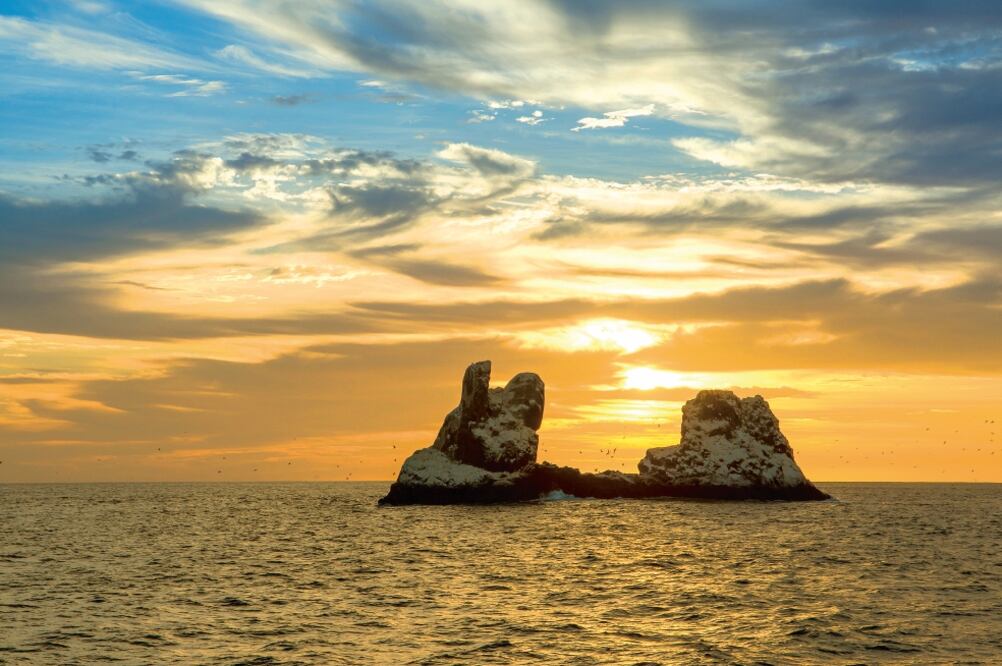 El archipiélago de las Revillagigedo, ubicado en el océano Pacífico, guarda un ecosistema de enorme riqueza debido a su amplia biodiversidad. (OCTAVIO ABURTO)