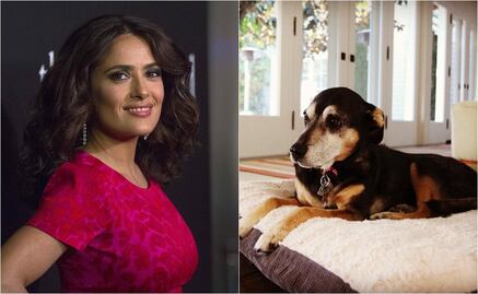 Salma Hayek presume a su perra Lupe