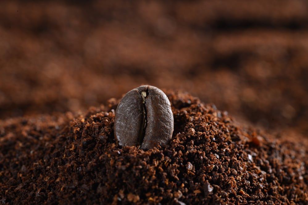 El estudio de la Profeco revela qué café molido te conviene por la calidad y precio. Foto: Freepik