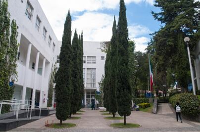 ¿Cuál es la historia del CIDE, institución en la que el director destituyó a la secretaria Académica?