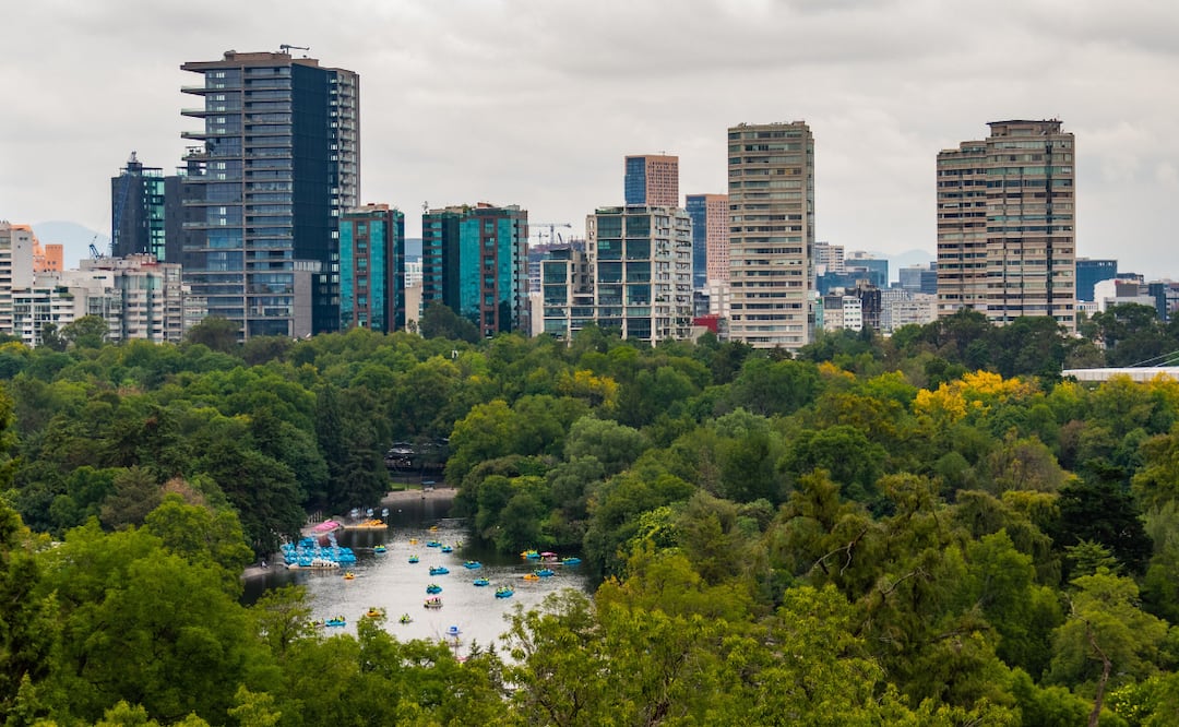 Estos planes en Chapultepec implican mucha diversión y poco presupuesto. Foto: Pexels