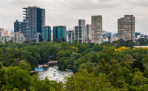 5 planes gratis para disfrutar en Chapultepec