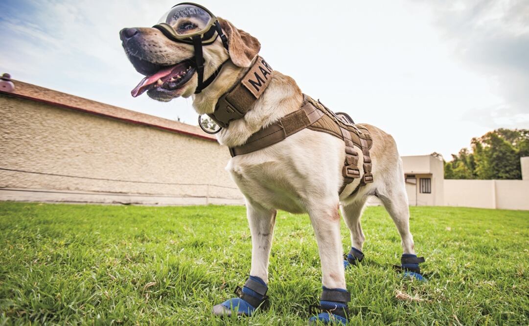 (Foto: Archivo/El Universal)