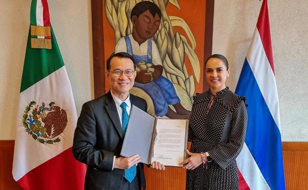 La Agencia Mexicana de Cooperación Internacional para el Desarrollo recibió el dinero. Foto: Amexcid