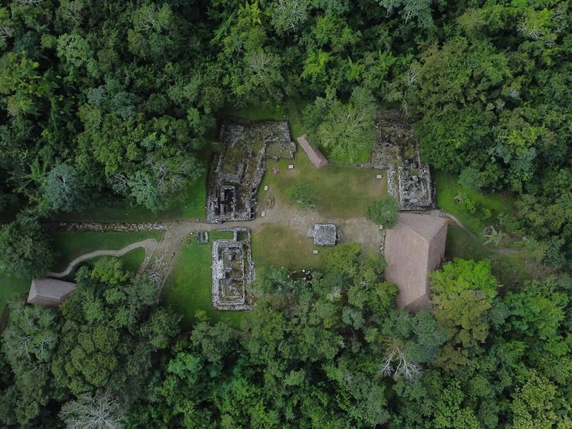 Foto: Dirección de Turismo de Cozumel