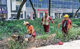 Tras derrota de México, empieza remozamiento de Reforma